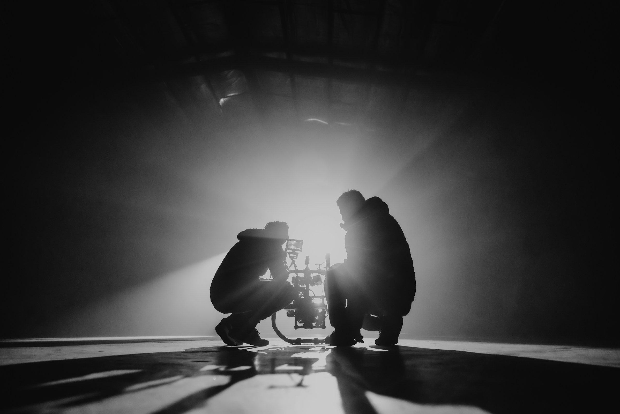 A Curated World of Still Frames